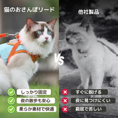 猫咪散步带